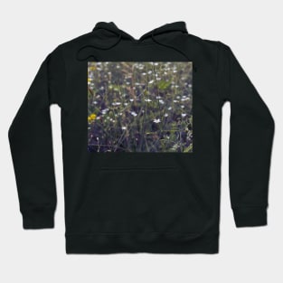 White flowers blooming in the meadow Hoodie